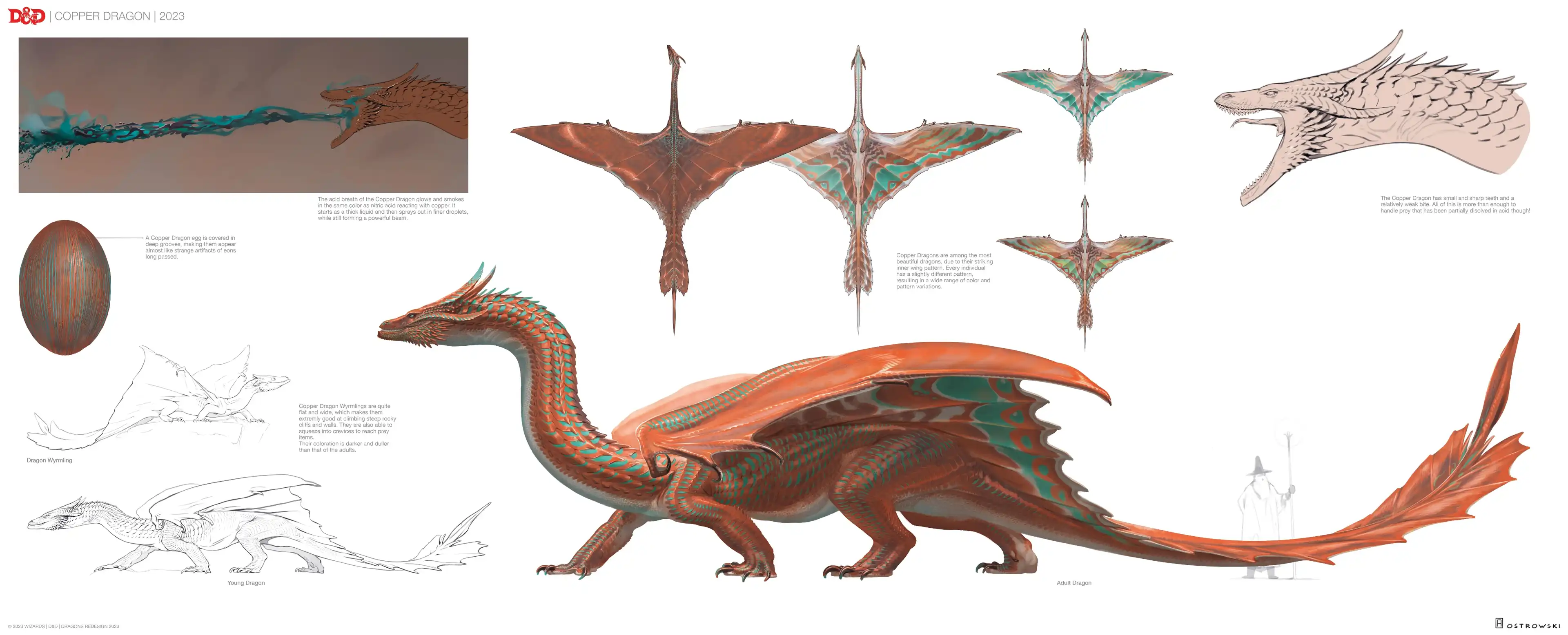 Concept art for D&D's Copper Dragon