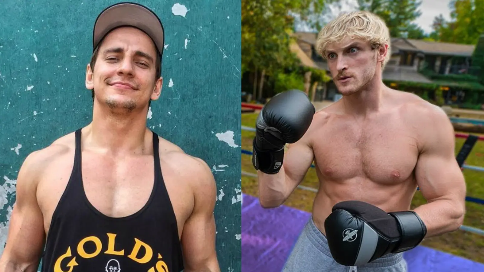 Twitter: Vitaly / YouTube: Logan Paul