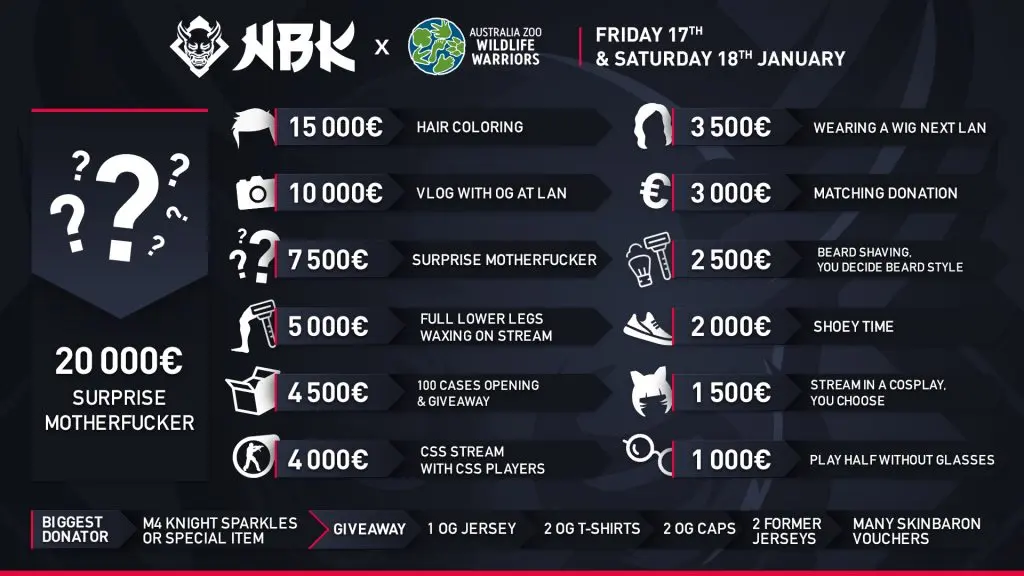 NBK's charity stream goals.