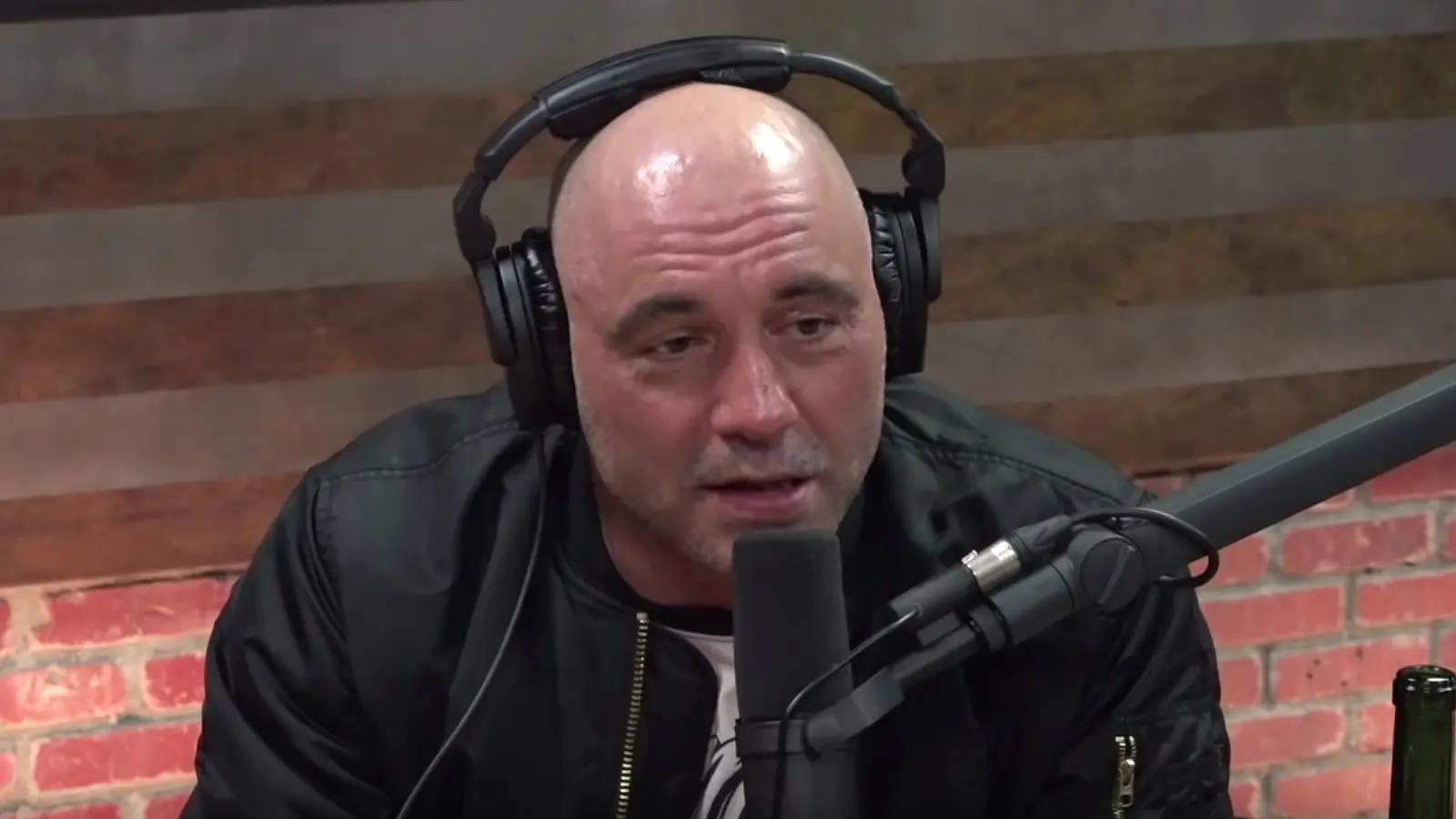 Joe Rogan explains why he loves Texas, Texas tiger population