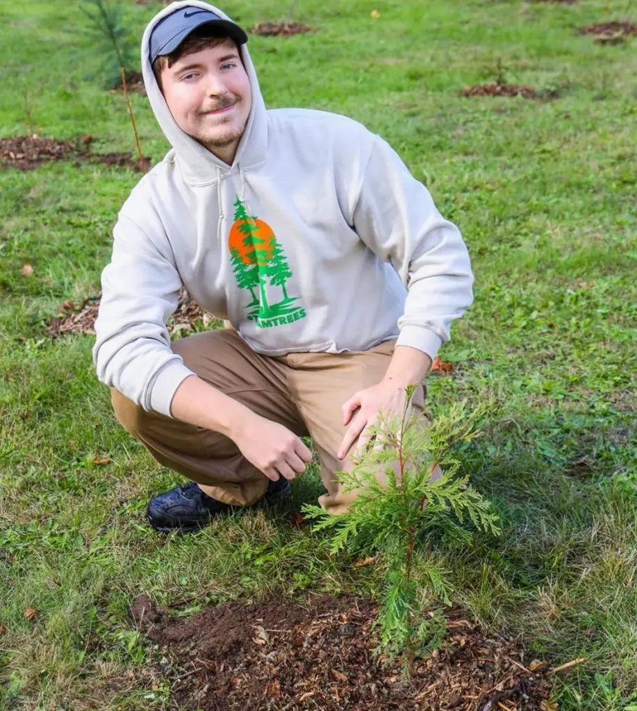 mrbeast team trees 20 million