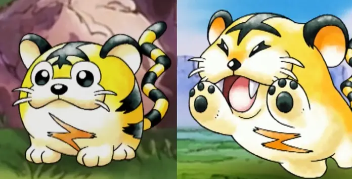 Kotora Raitora