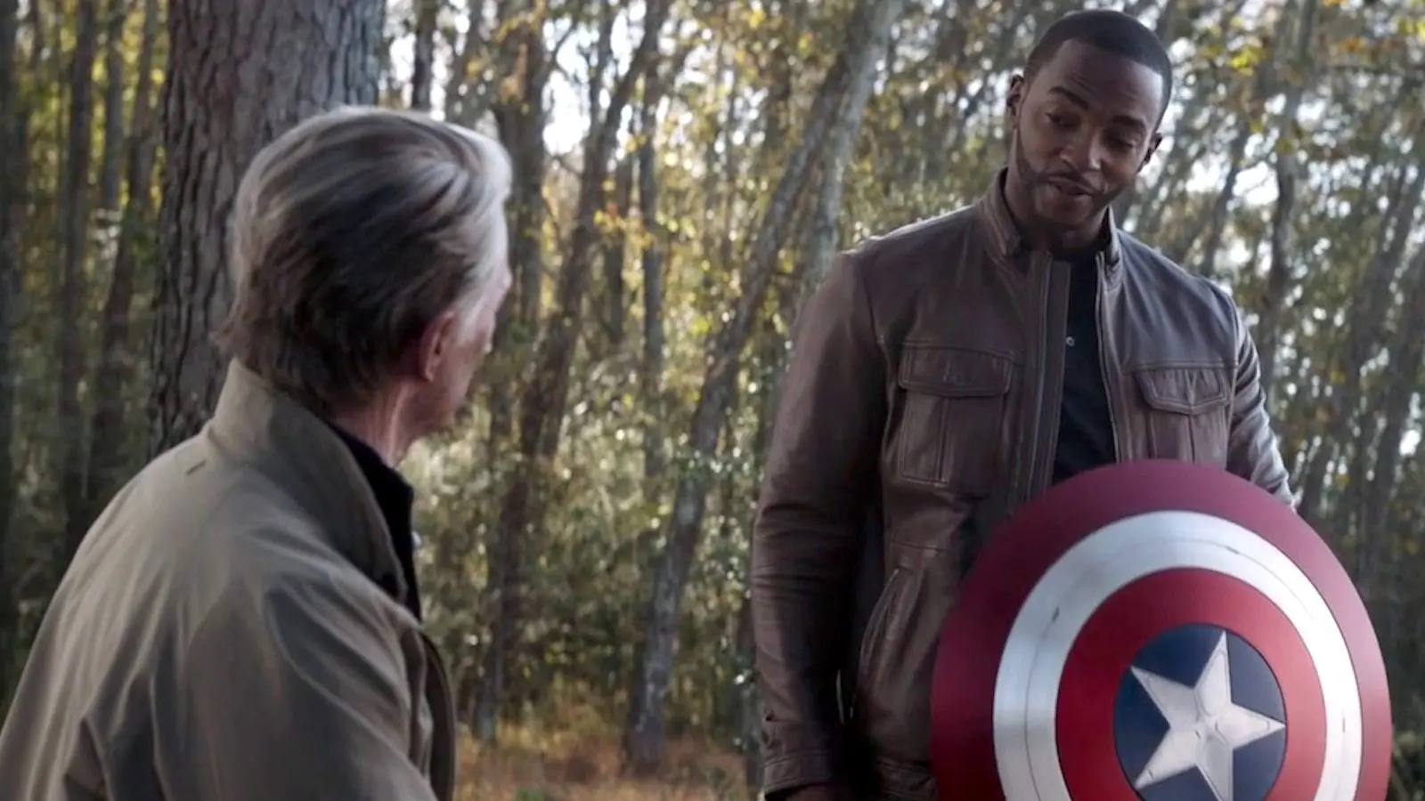 Steve Rogers made Sam Wilson the new Captain America in Avengers: Endgame.