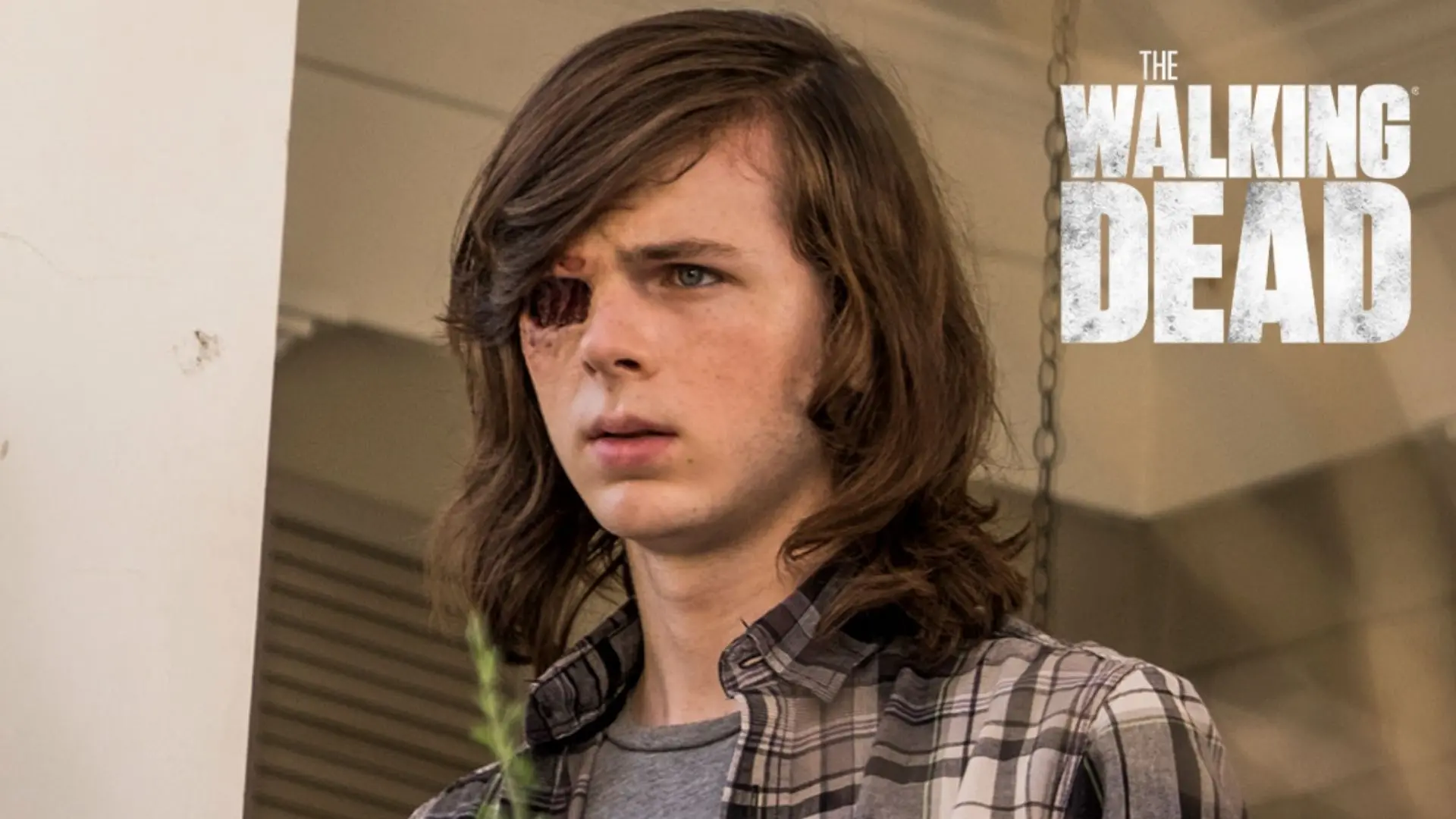 Chandler Riggs as Carl Grimes in Walking Dead