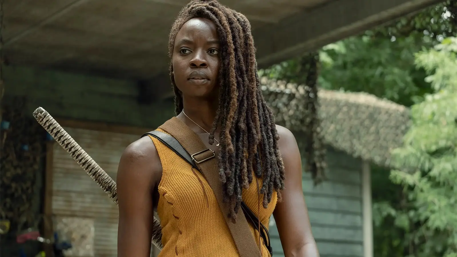 Michonne in The Walking Dead