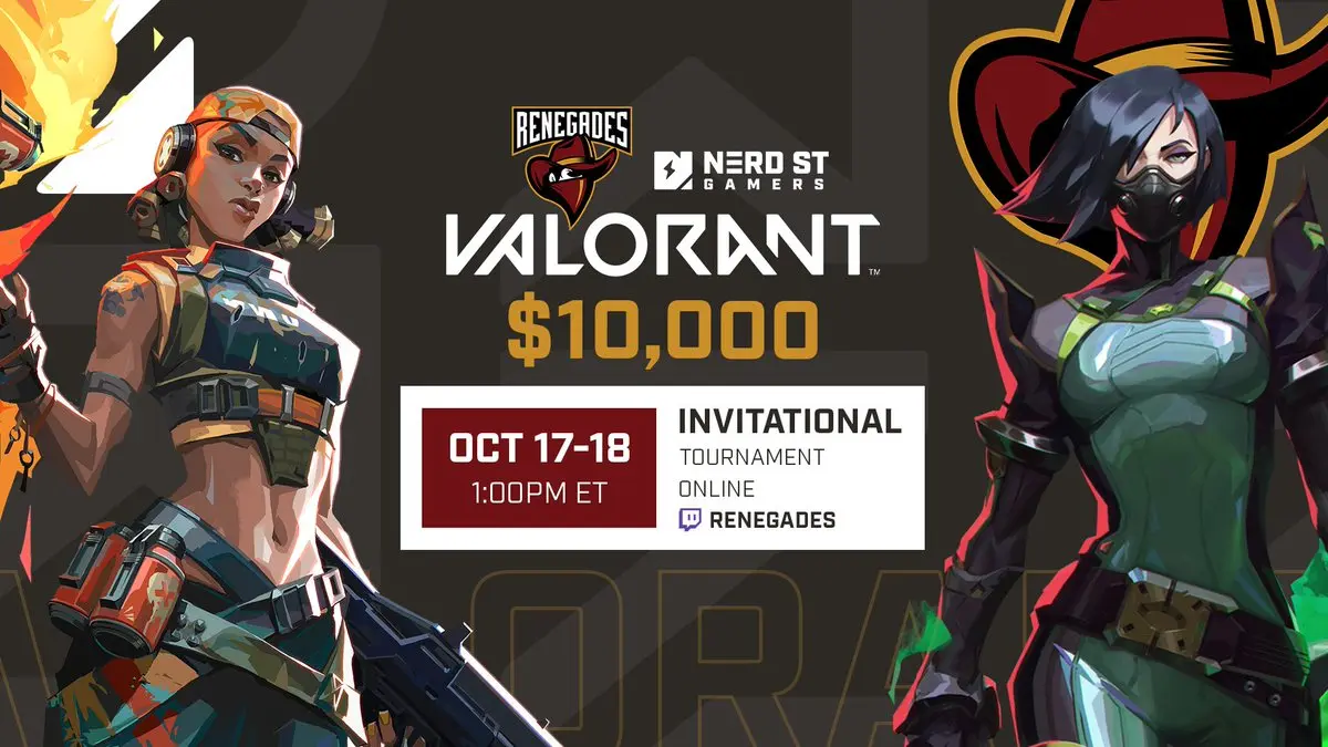 NSG x Renegades Valorant Invitational header