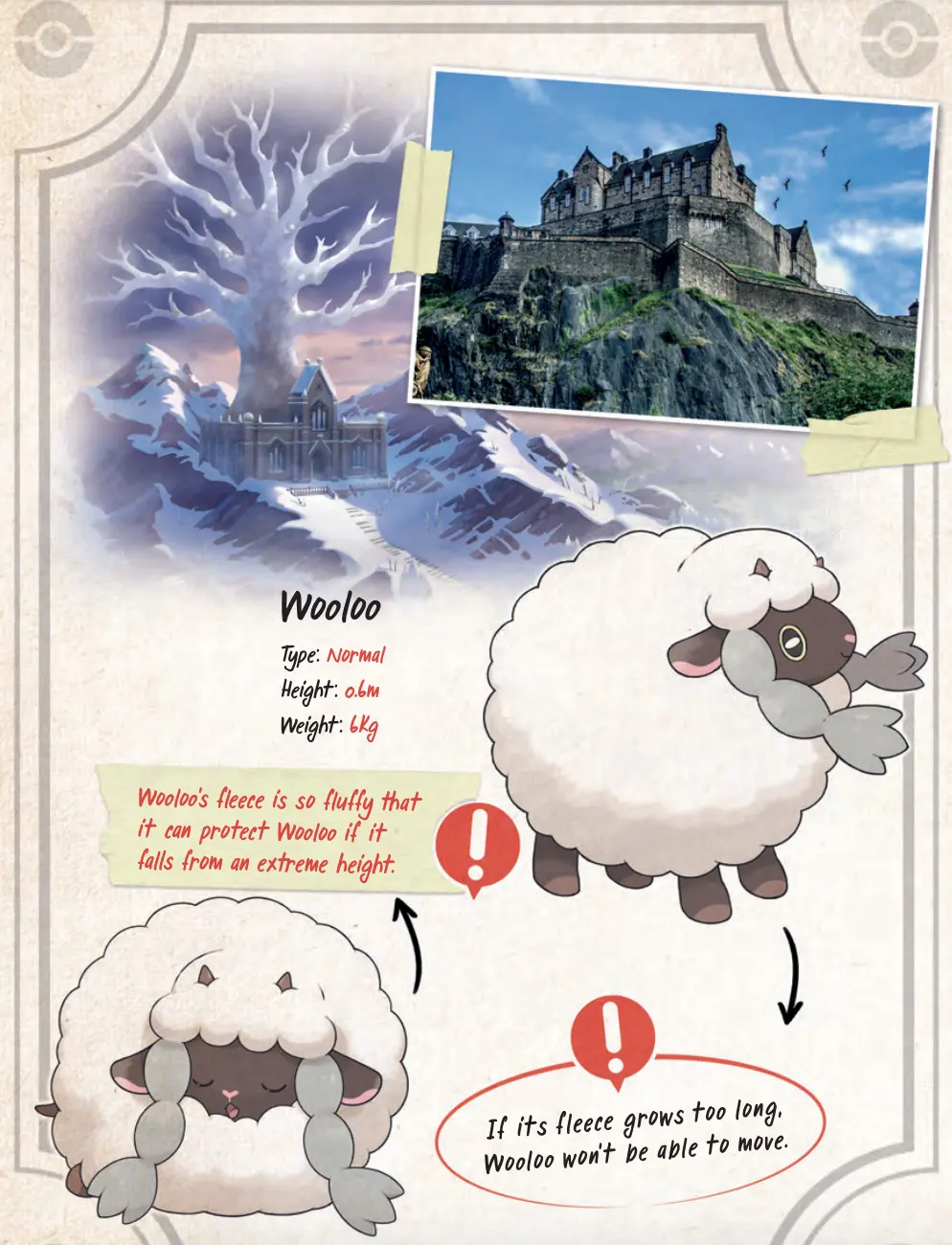 pokemon sword & shield galar book wooloo page