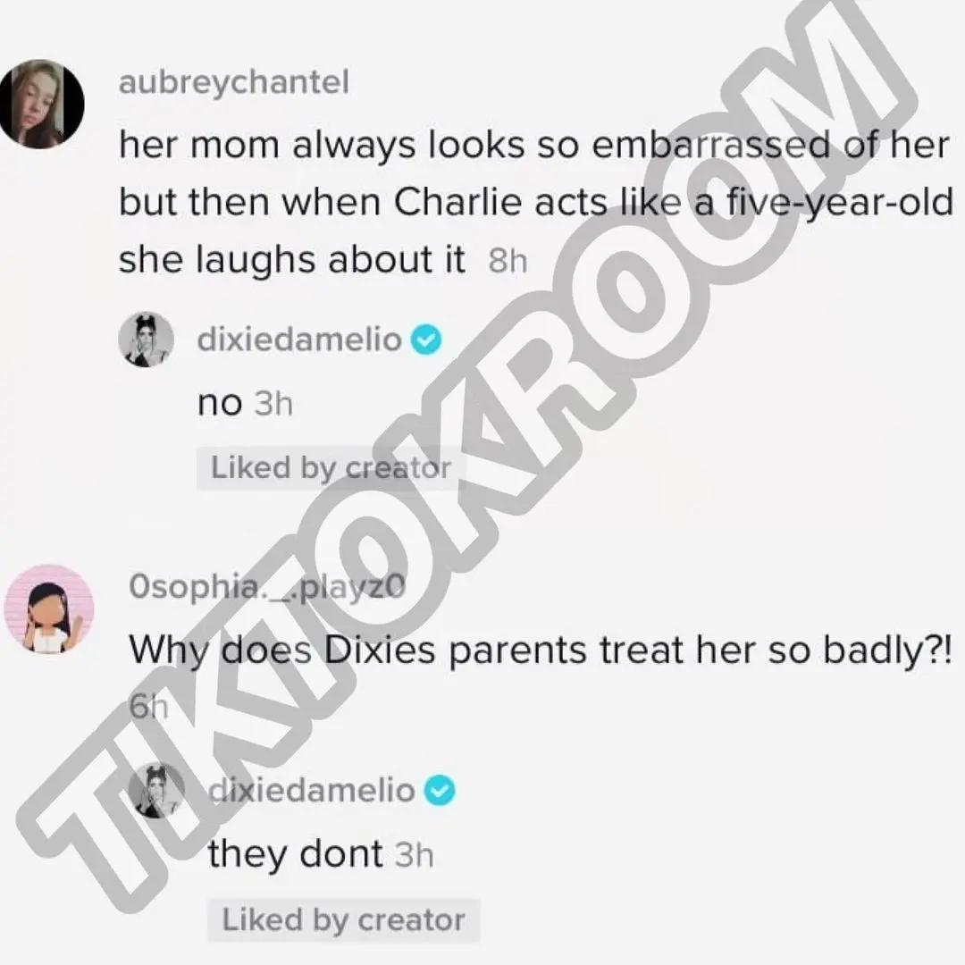 Dixie D'Amelio tiktok comments