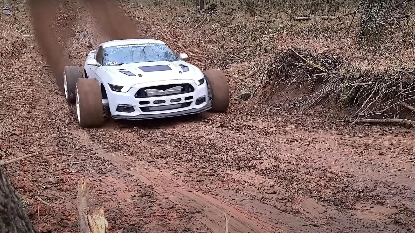 crazy mustang on hillclimb