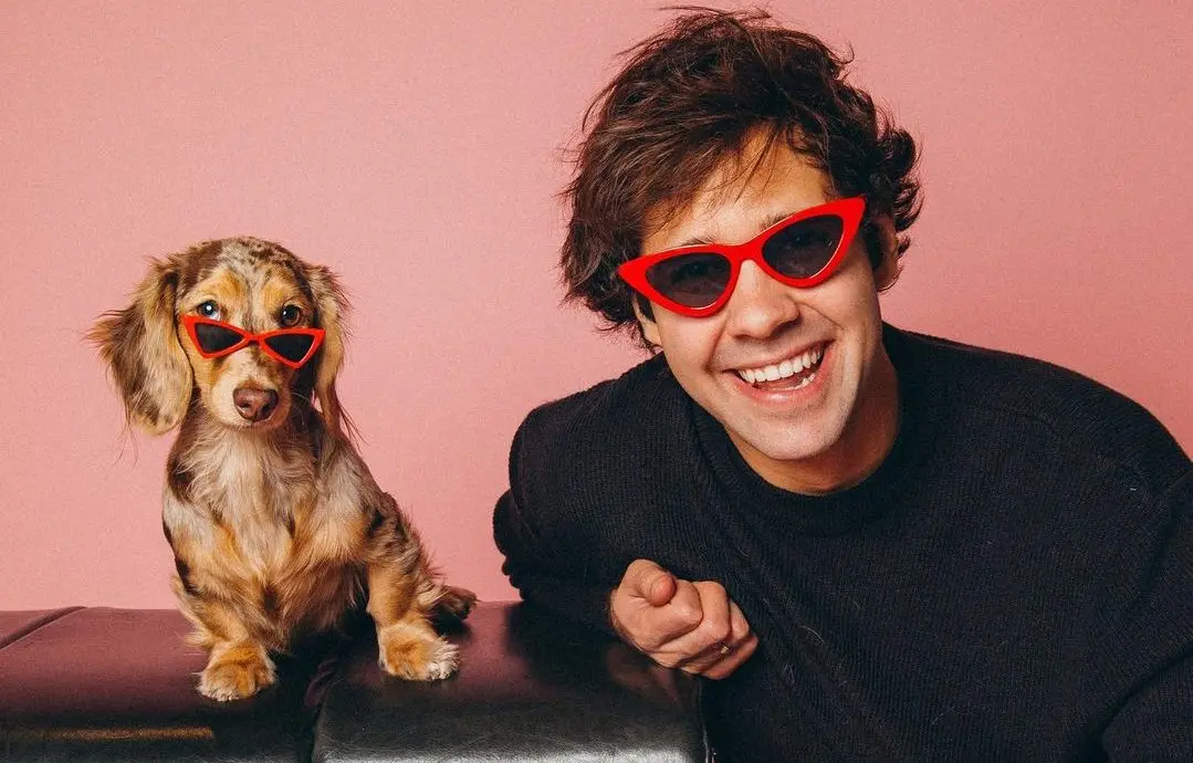 david dobrik dog