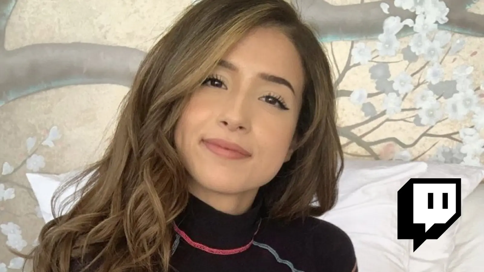 Pokimane hits back at donator