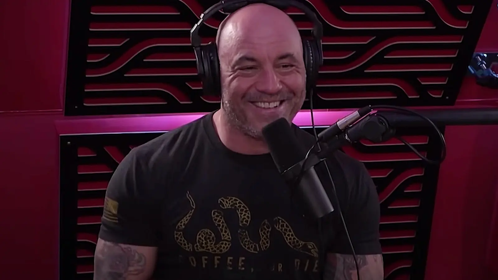 Joe Rogan podcast smile