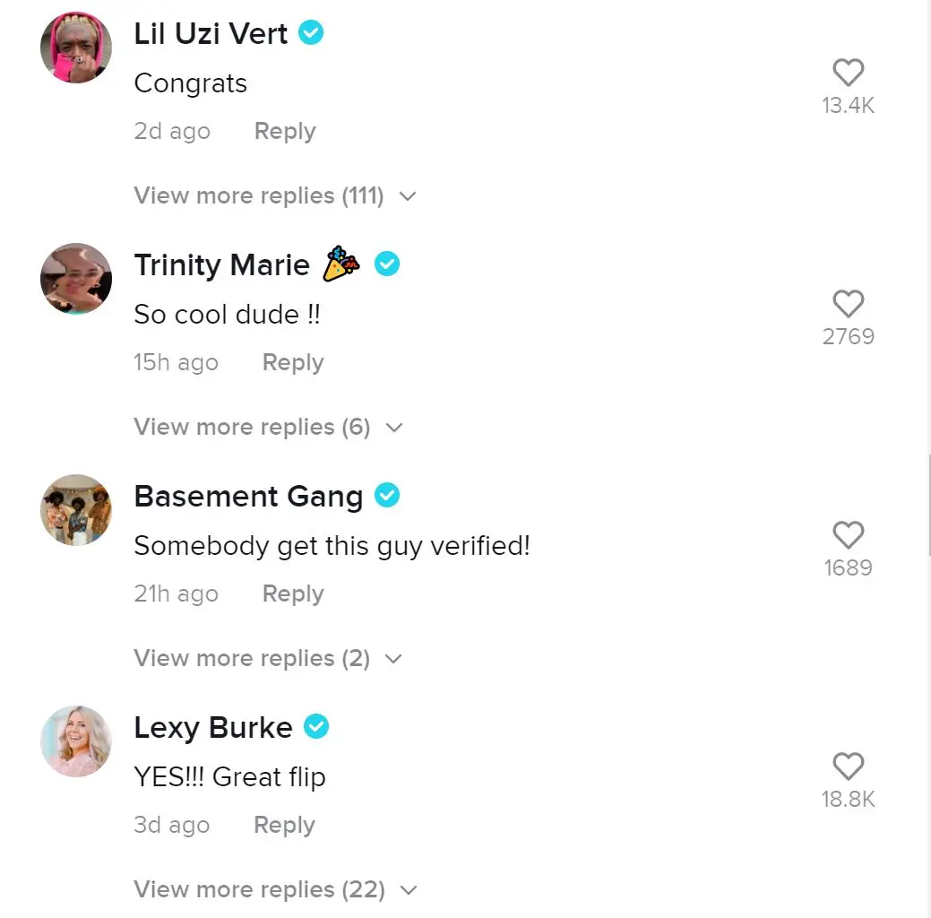 Comments under btwdude's viral TikTok.