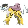 Raikou Cat Pokemon