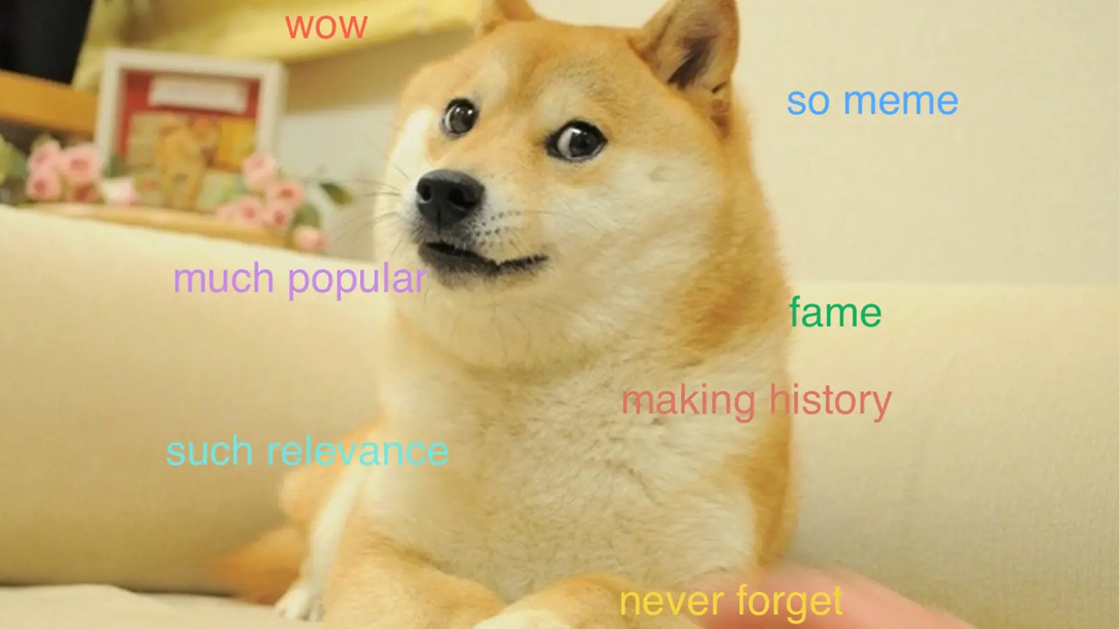 Doge Meme