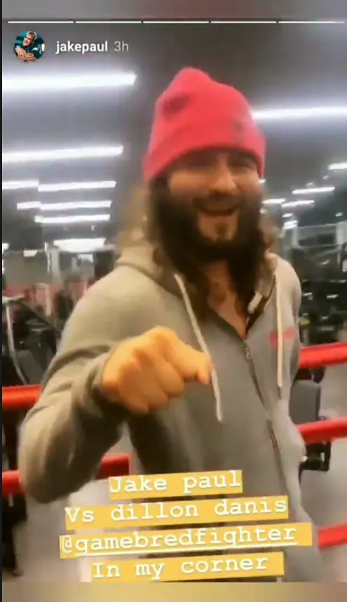 Jorge Masvidal on Jake Paul's Instagram story