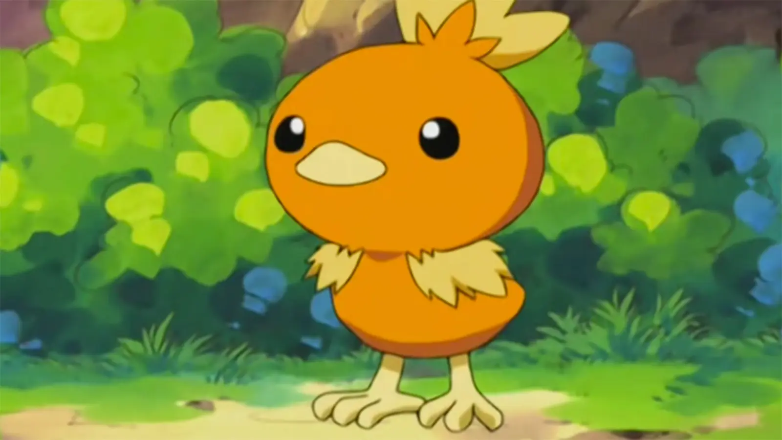 Torchic in Pokemon