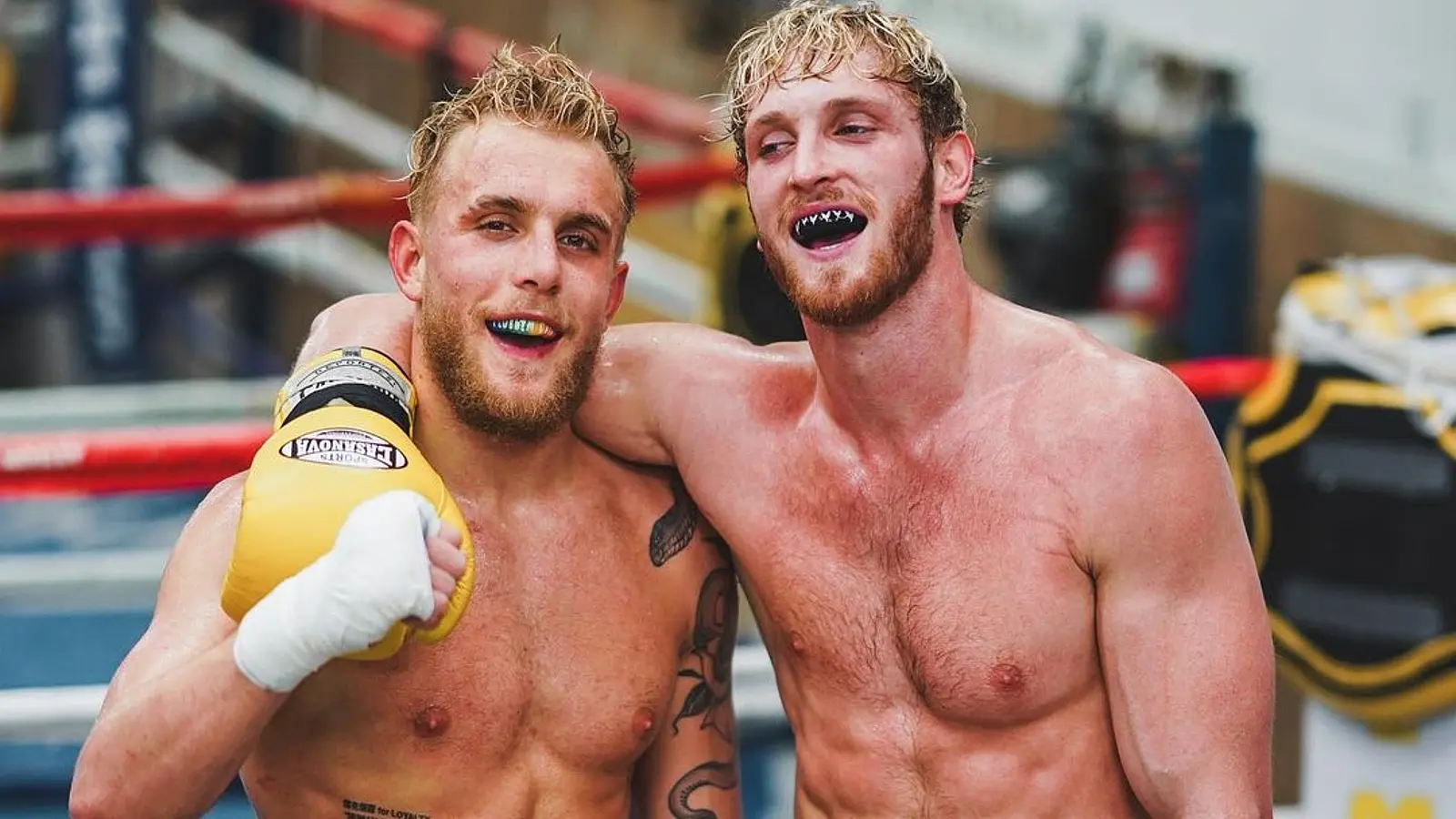 jake paul logan paul boxing match