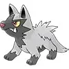 Poochyena Dog Pokemon