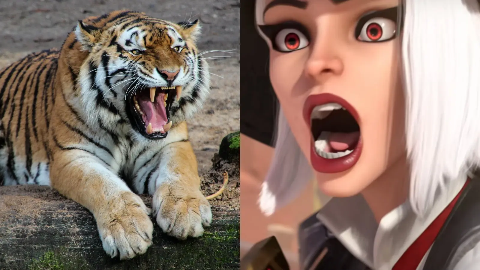 Ashe Tiger skin