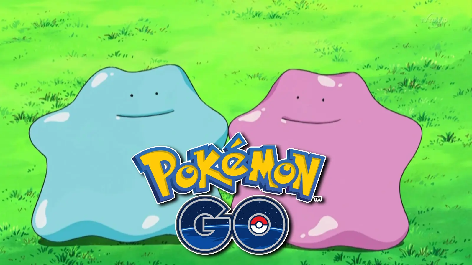 Screenshot of Shiny Ditto from Pokemon anime next to Pokemon Go logo.