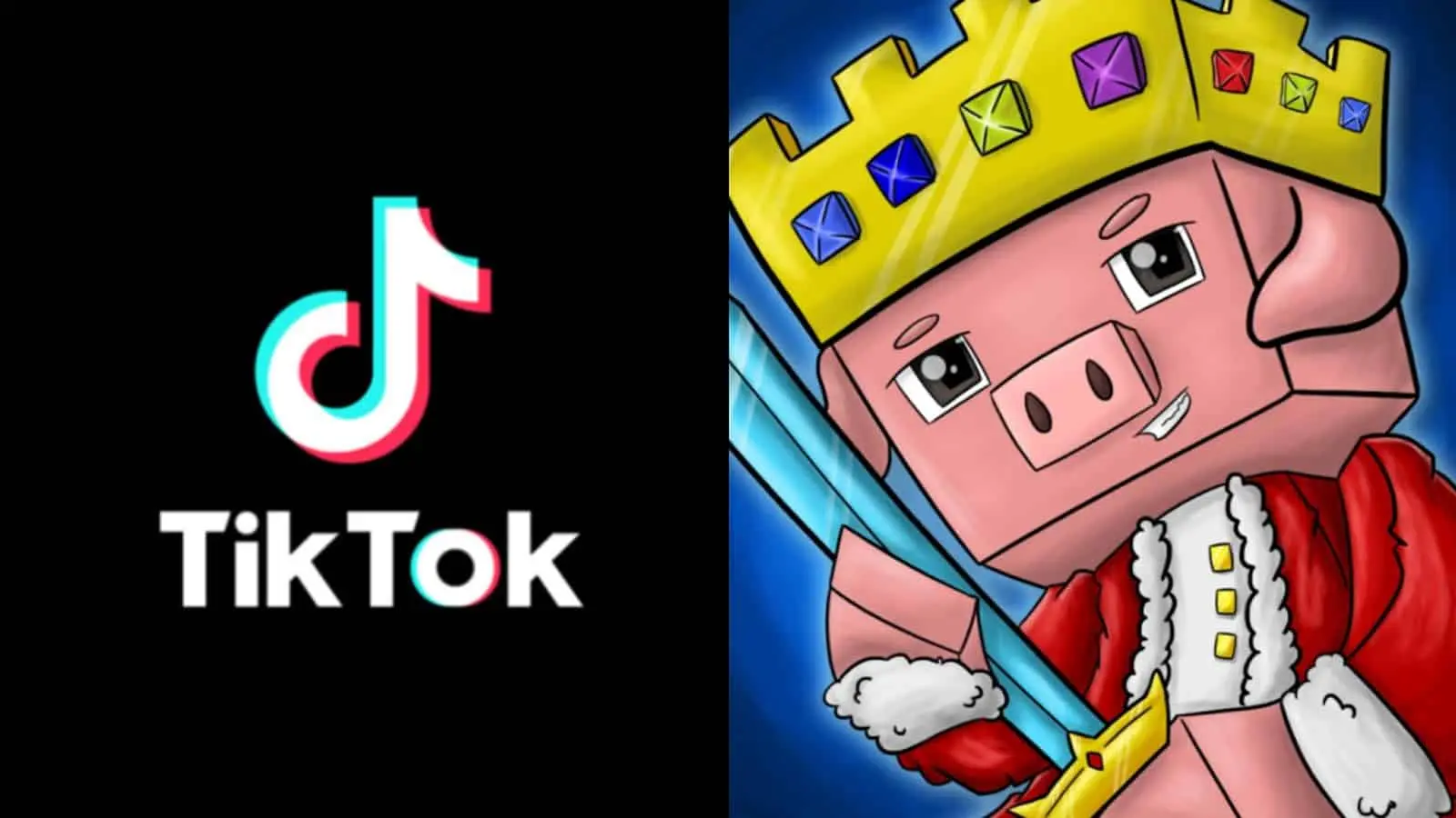 Technoblade logo next to the TikTok logo