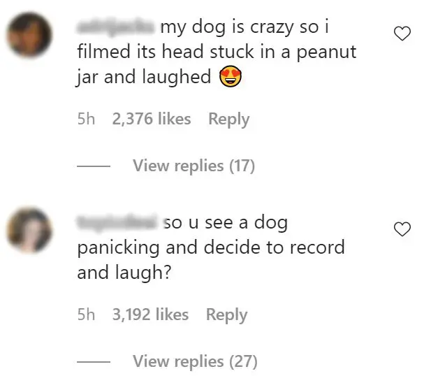 Lauren Kettering dog comments