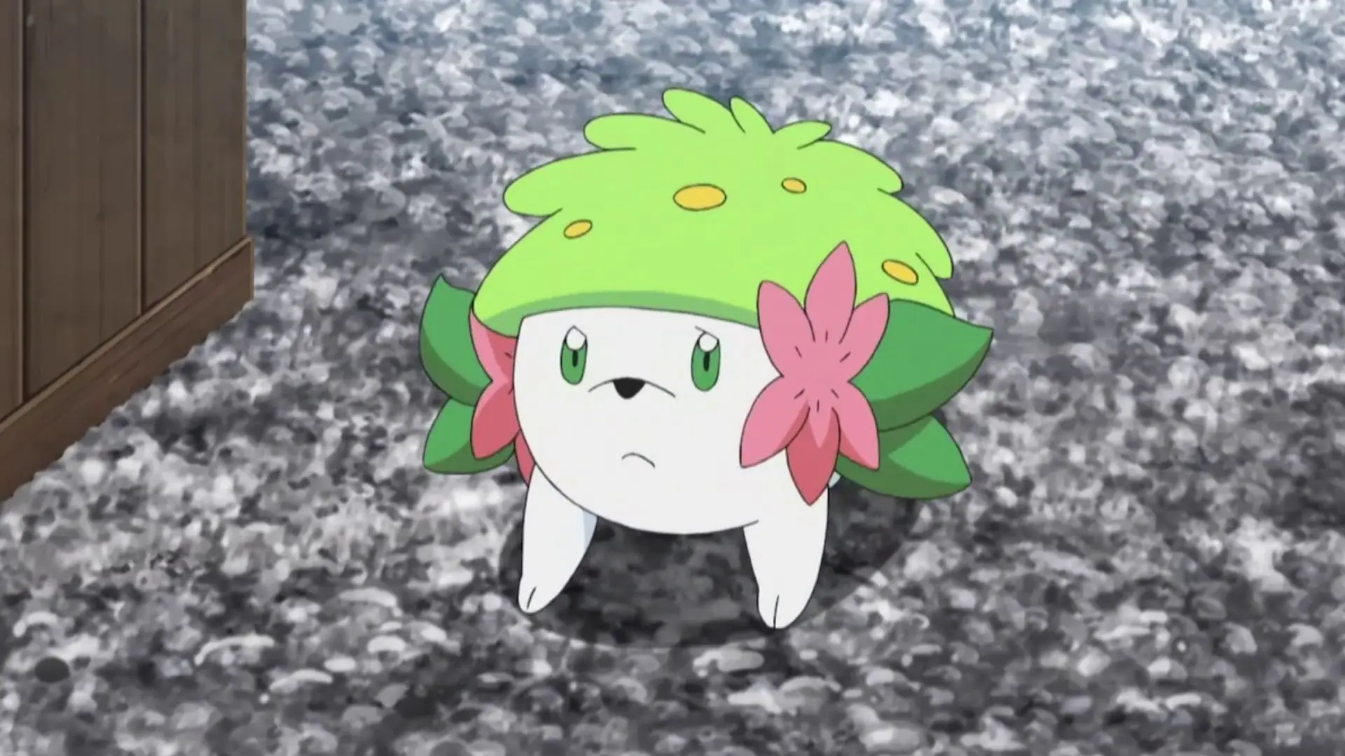 Shaymin