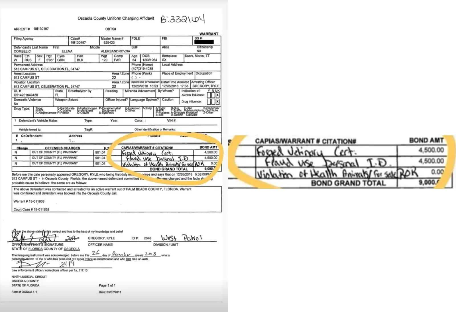 Arrest record