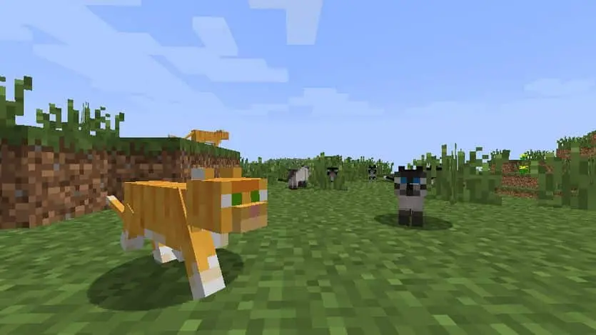 Minecraft cats 