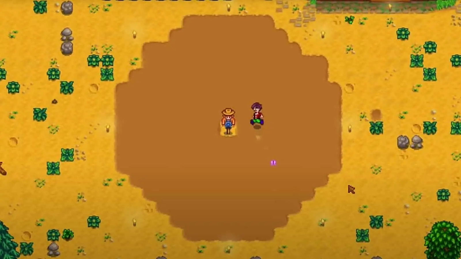 Stardew Valley Scarecrow Range