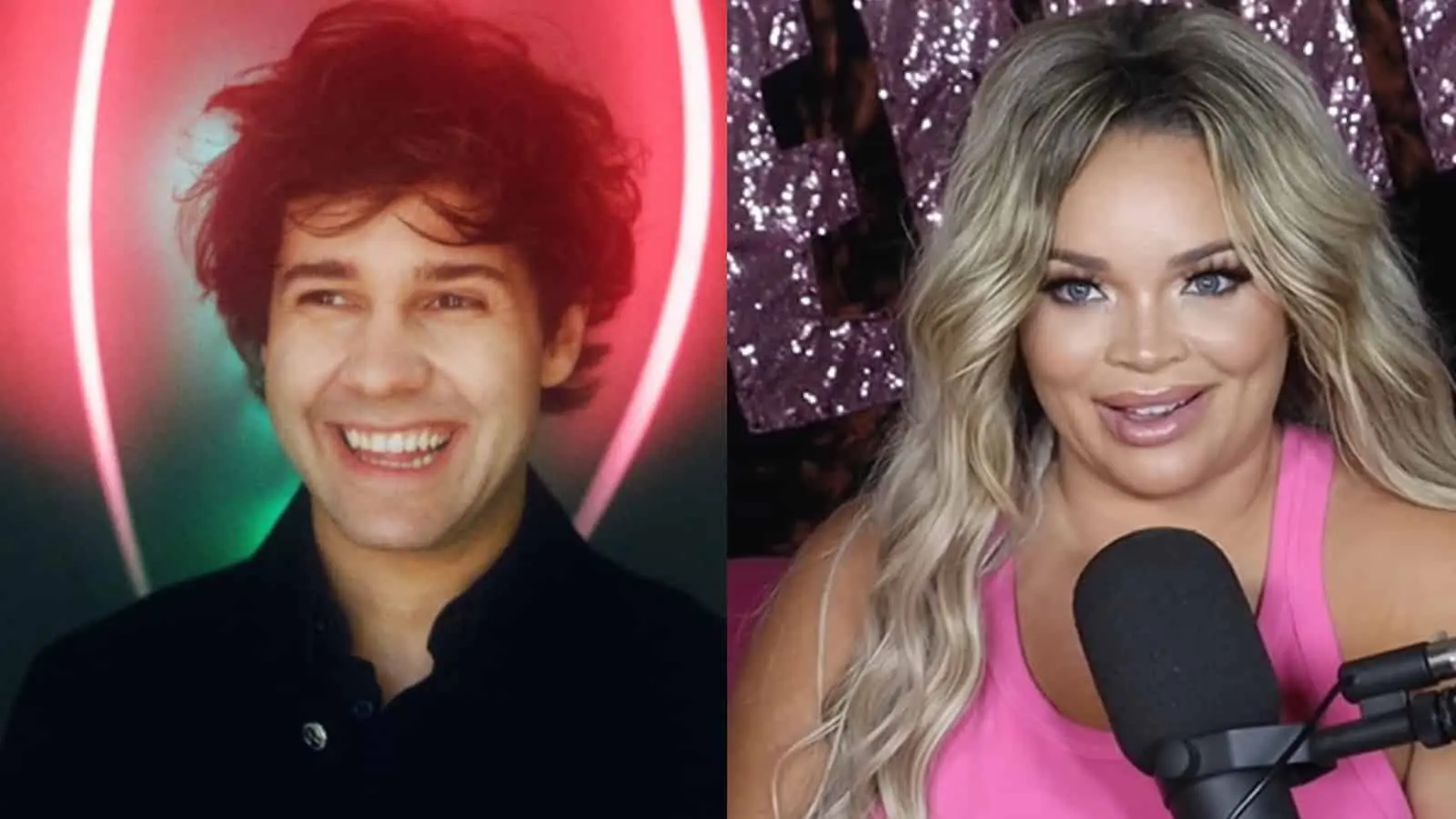 david dobrik trisha paytas vlog squad