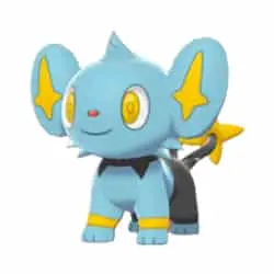 Shinx