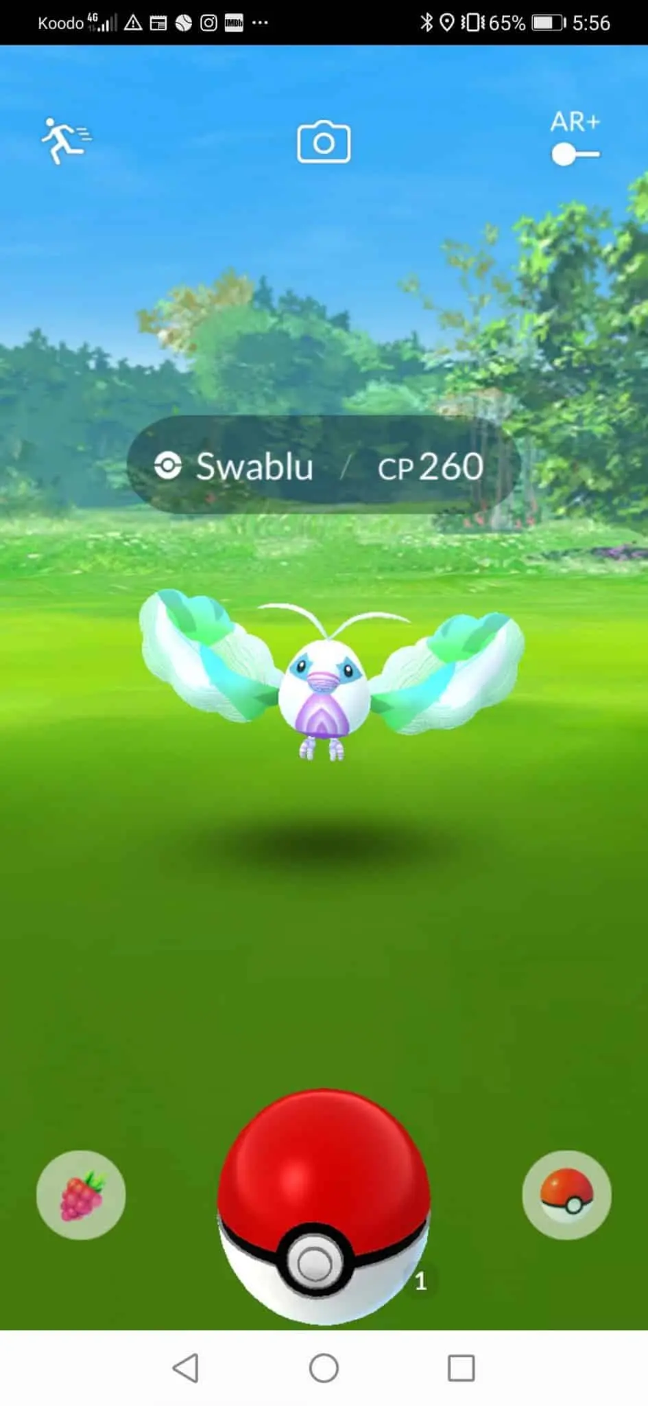 Pokemon Go swablu 