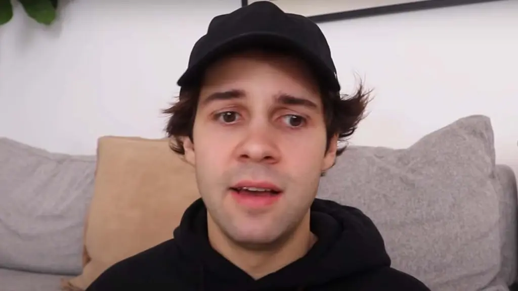 david dobrik