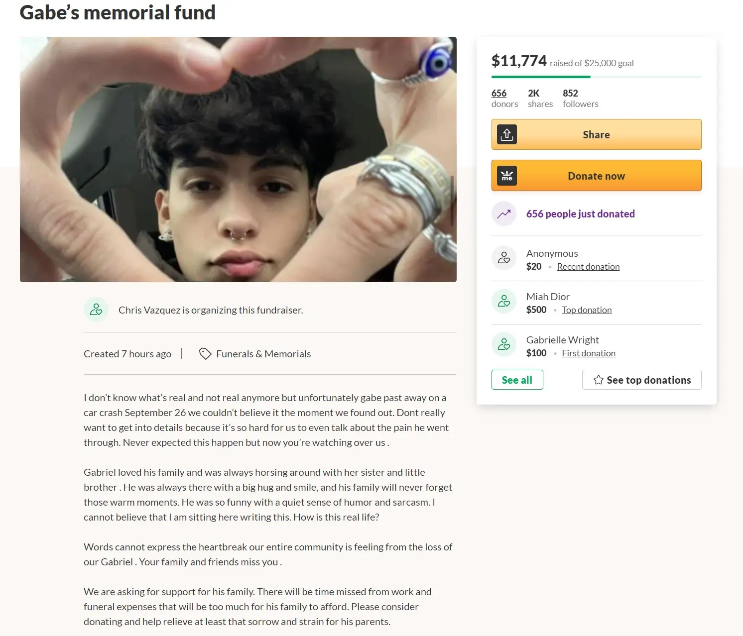 Screenshot of GabeNotBabe GoFundMe