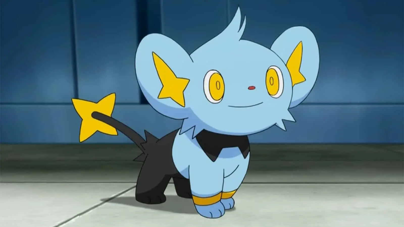 Shinx in the Pokemon anime