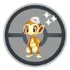 Chimchar wearing Dawn's hat