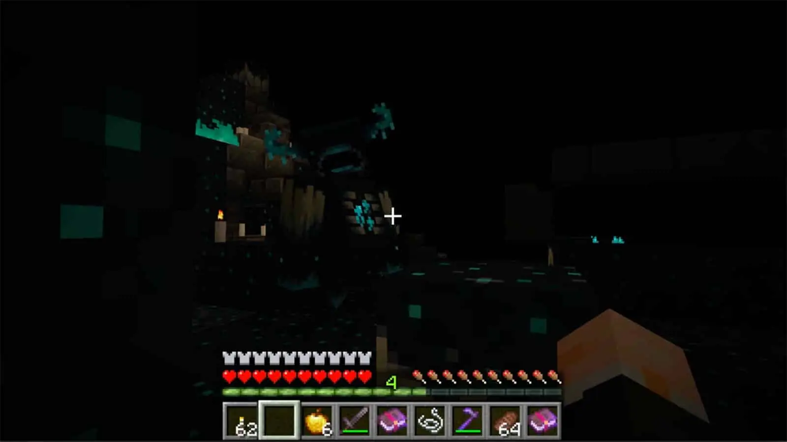 A screenshot of the Deep Dark Biome in Minecraft