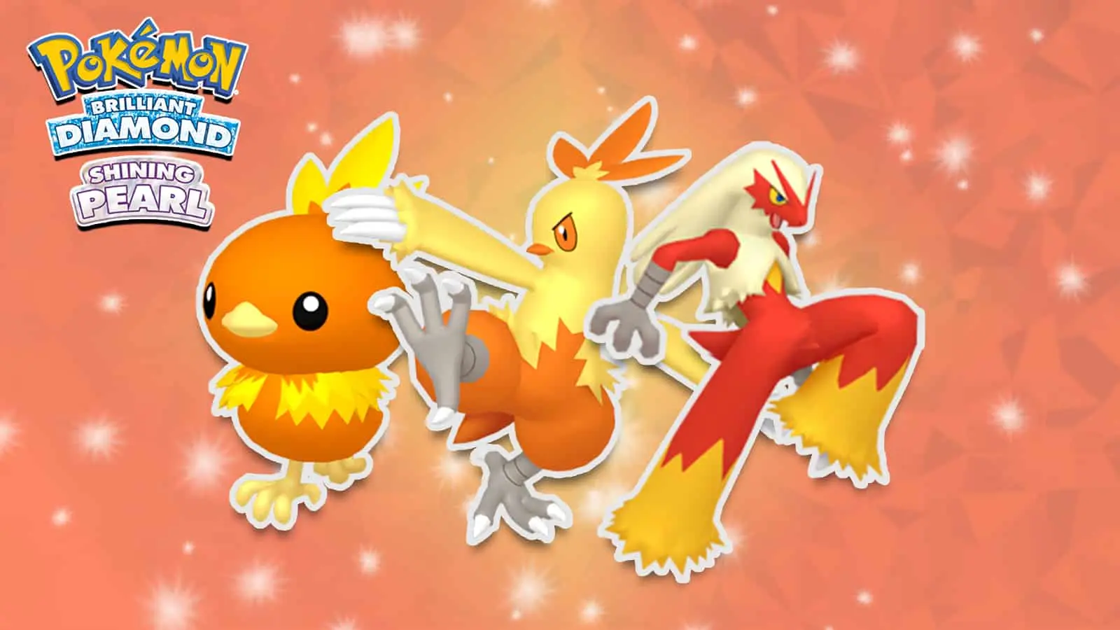 torchic combusken blaziken in pokemon bdsp