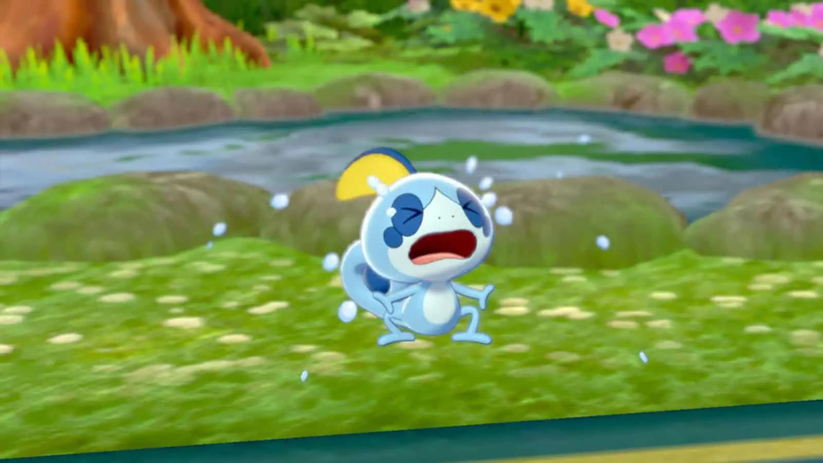 Pokemon Sword & Shield Sobbly crying cutscene