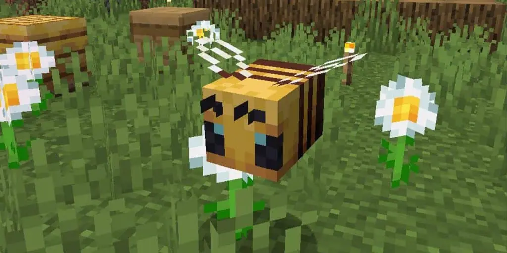 Minecraft Bees