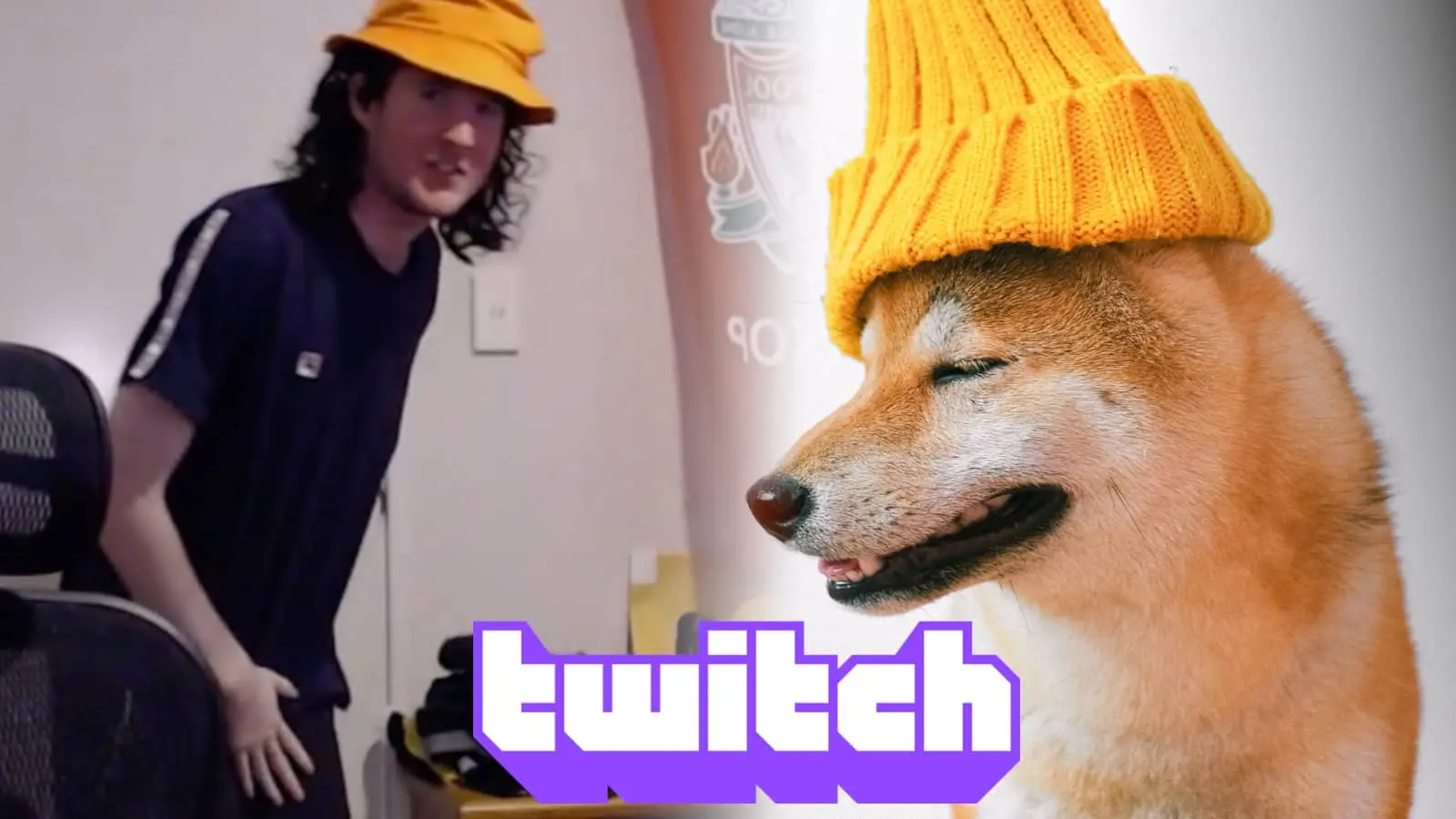 twitch streamer dog nuts