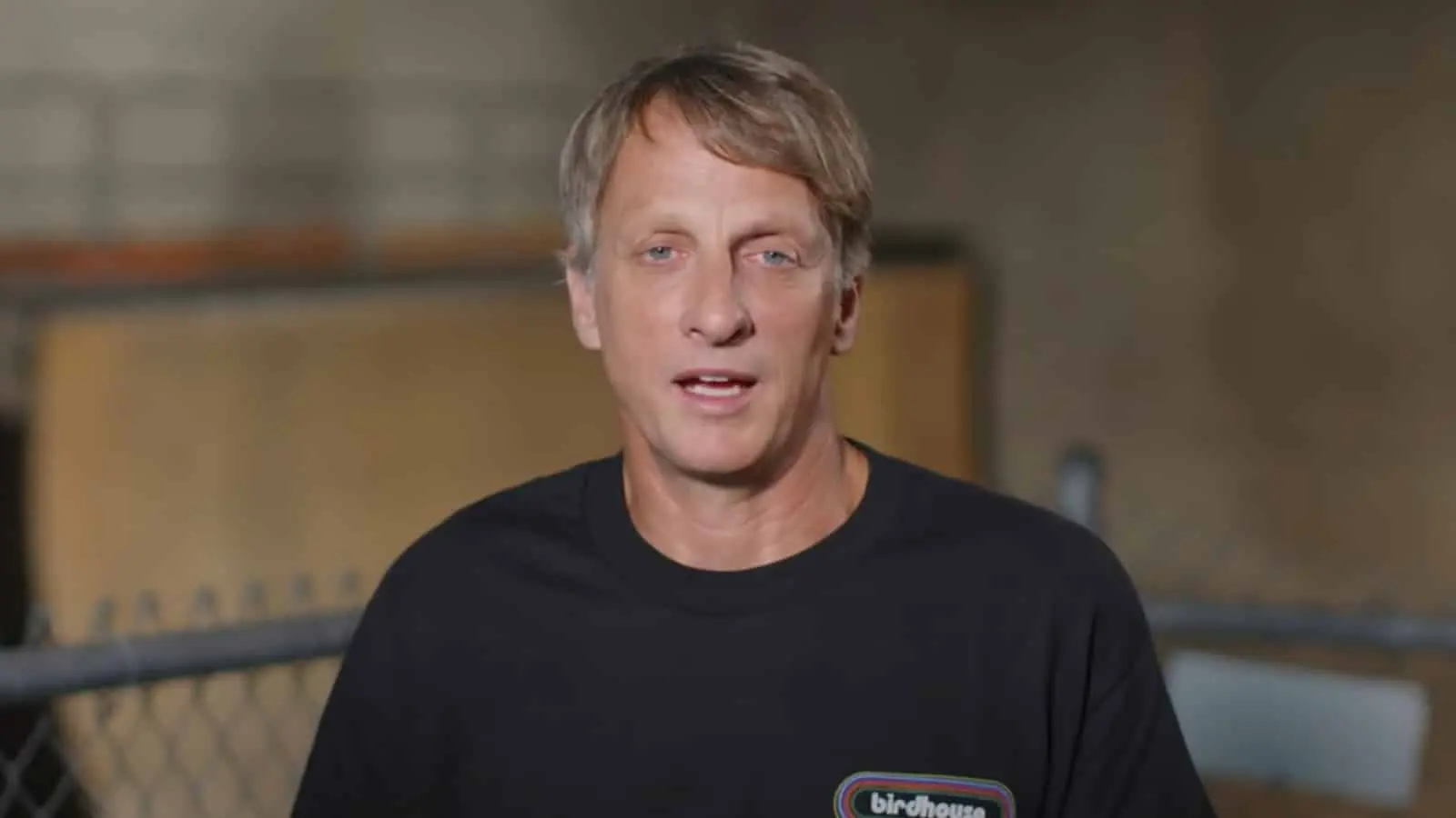 Tony Hawk brown