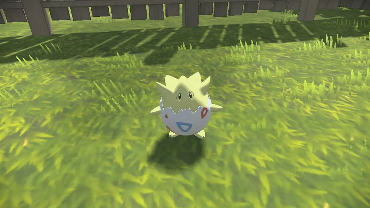 togepi in pokemon legends arceus