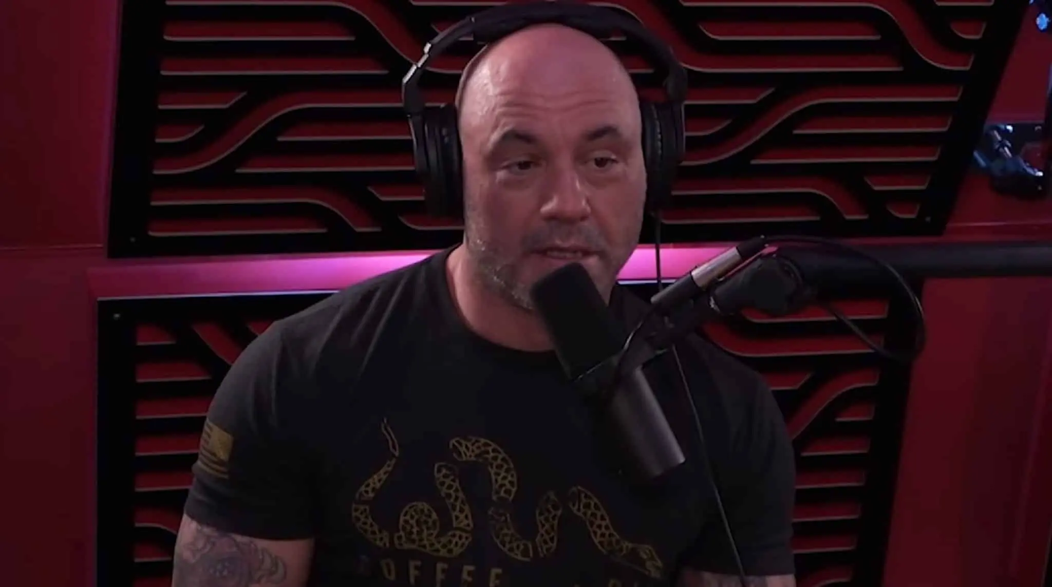 Joe Rogan talking on his podcast