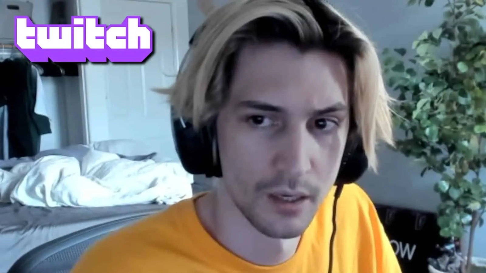 xqc-twitch-staff-exodus