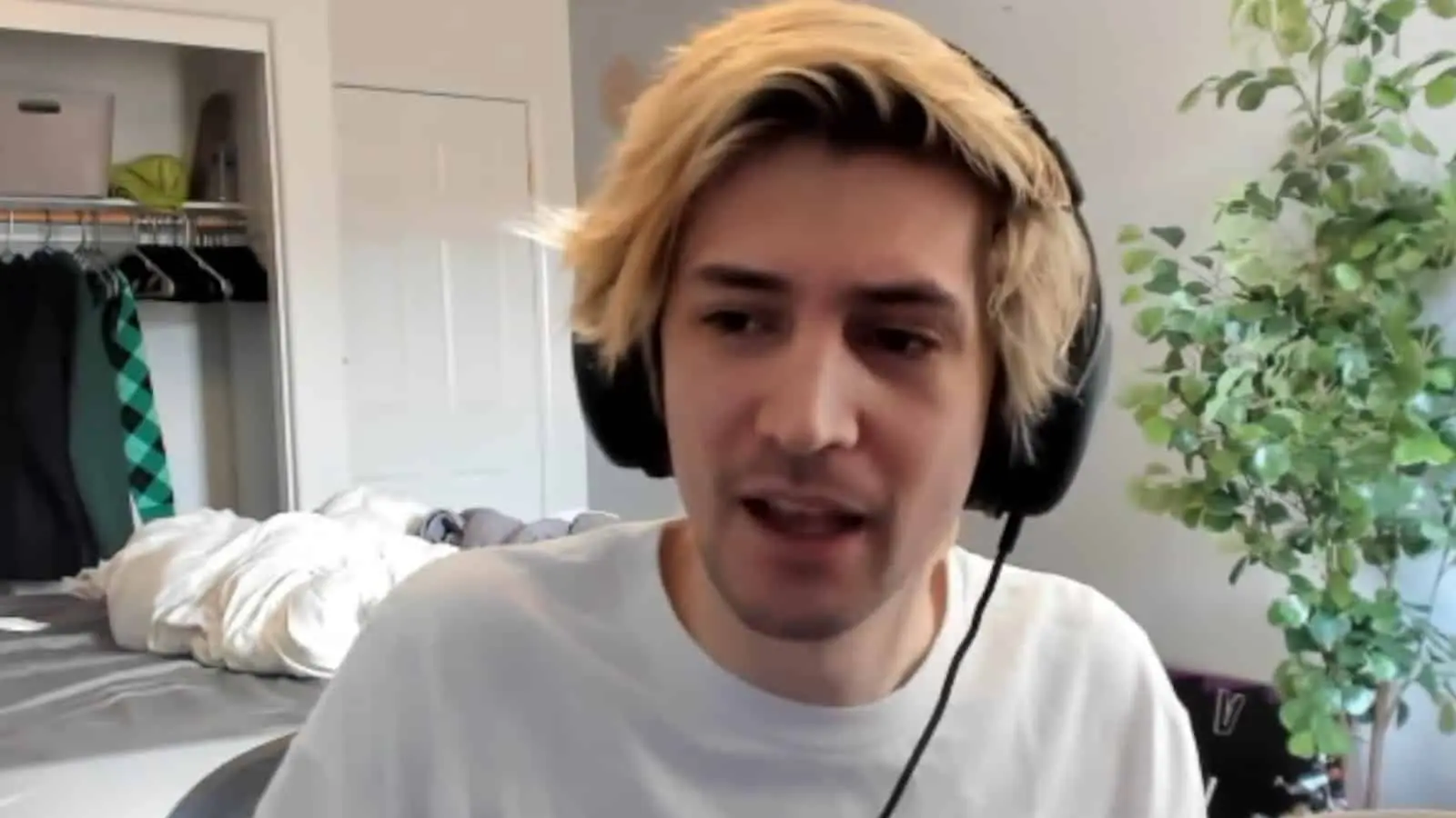 xqc-streamer-awards-ludwig