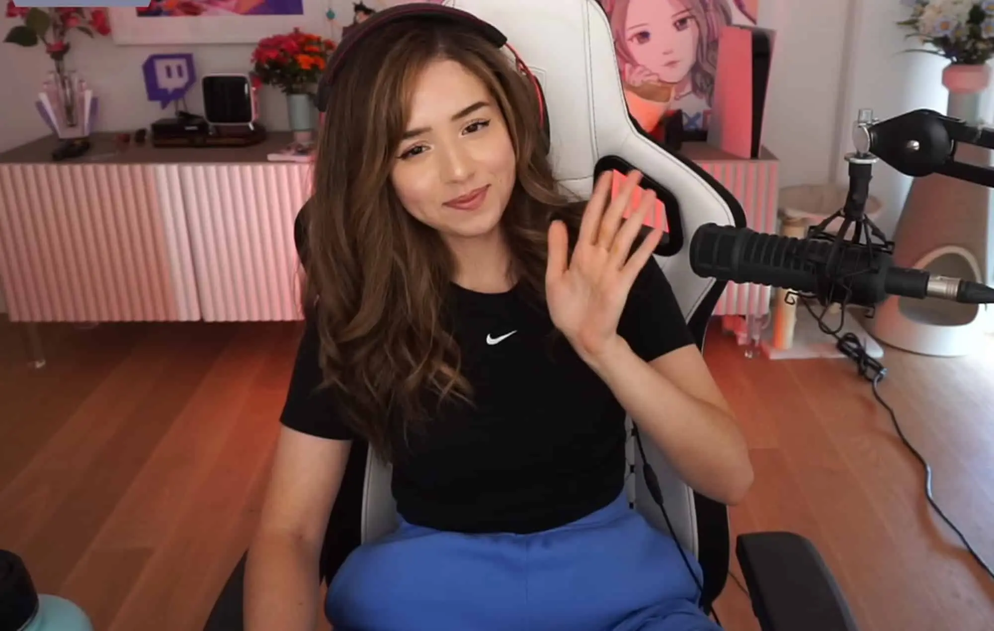 pokimanetwitch