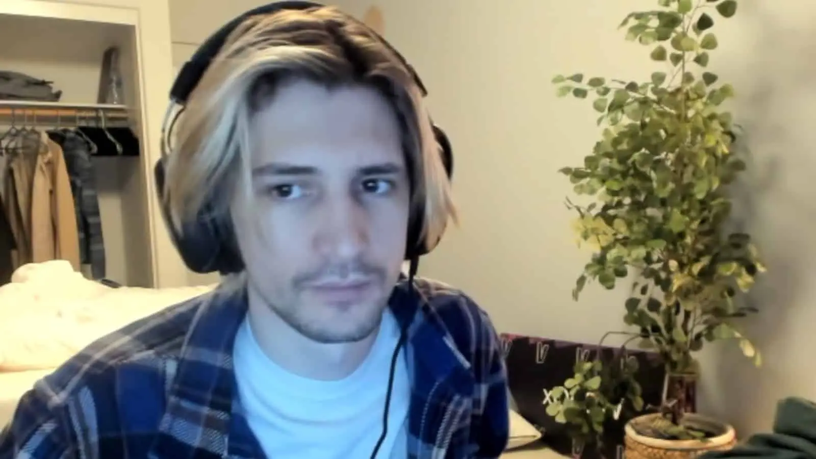 xQc streaming